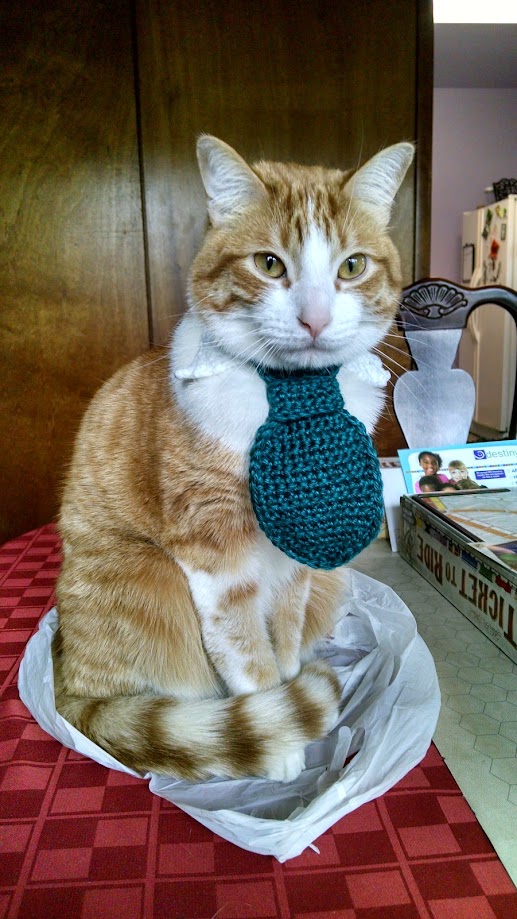 An orange and white tabby cat wearing a teal crocheted tie.